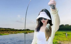 北京万格集团董事长